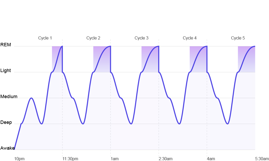 Sleep Cycles